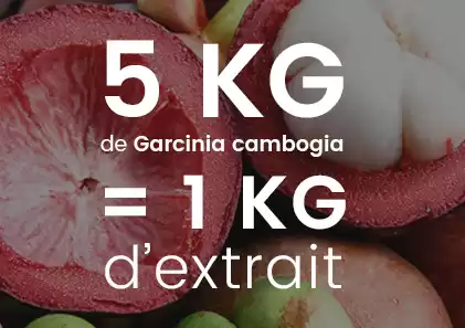 Extrait de garcinia bio