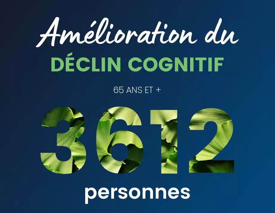 Ginkgo mémoire
