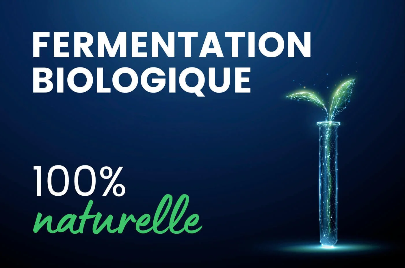 Glucosamine et Chondroïtine bio fermentation
