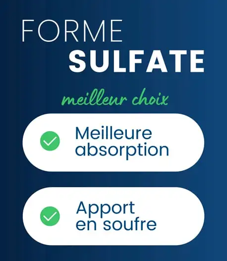 Glucosamine Chondroïtine sulfate