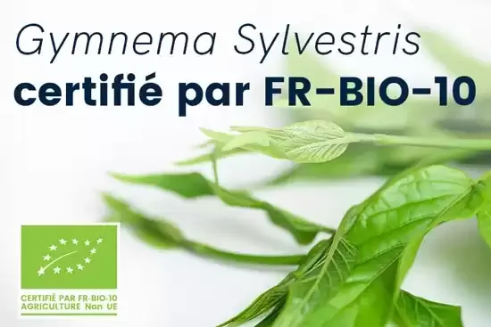 Gymnema diabète
