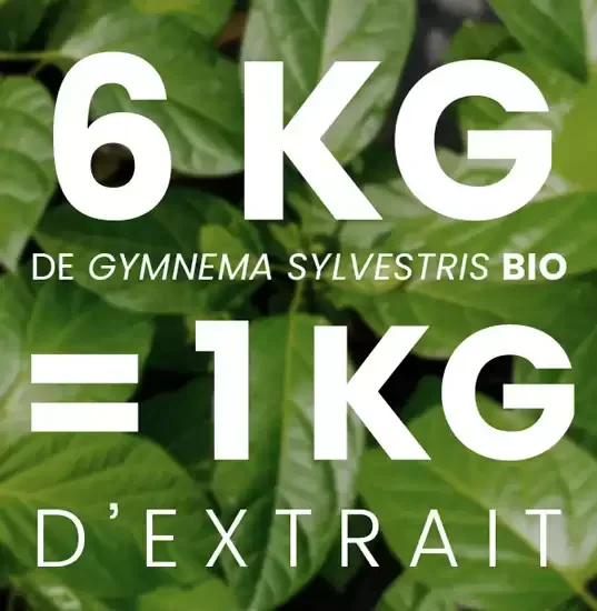 Extrait de gymnema
