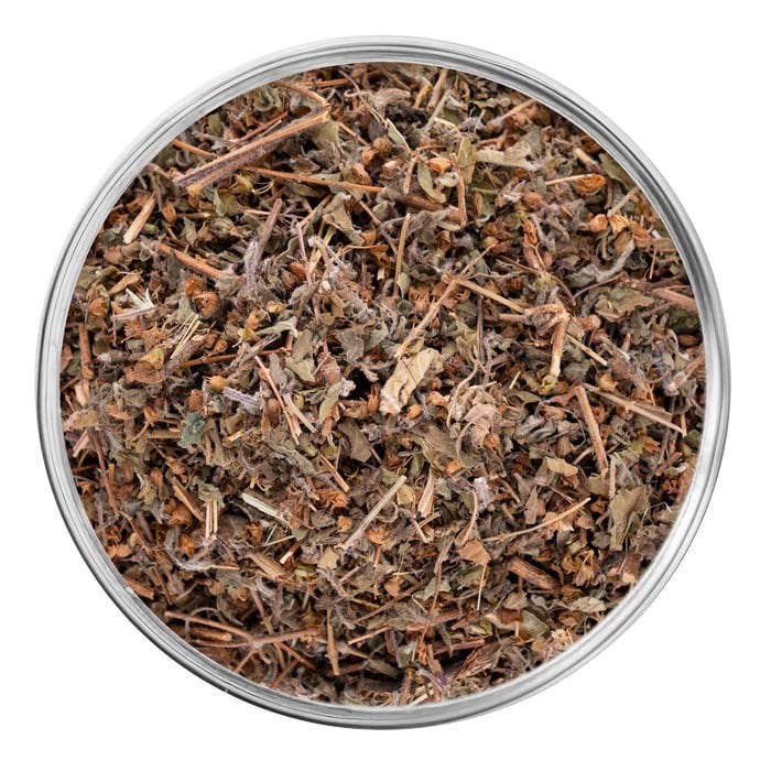 Gymnema sylvestre 