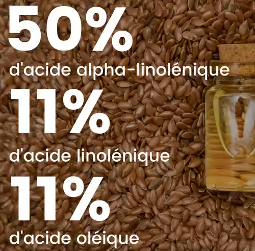 Les grains de lin, pour stimuler le bon fonctionnement de la prostate