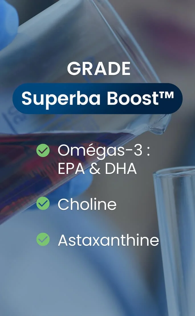 grade-superbaboost