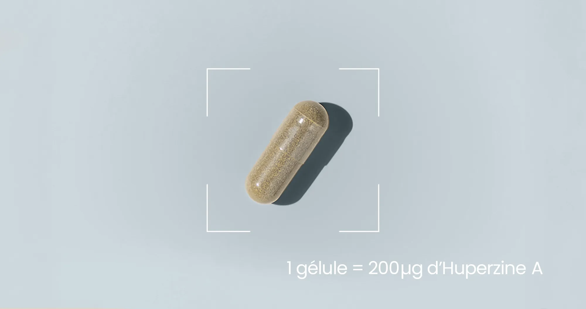huperzine A gelules