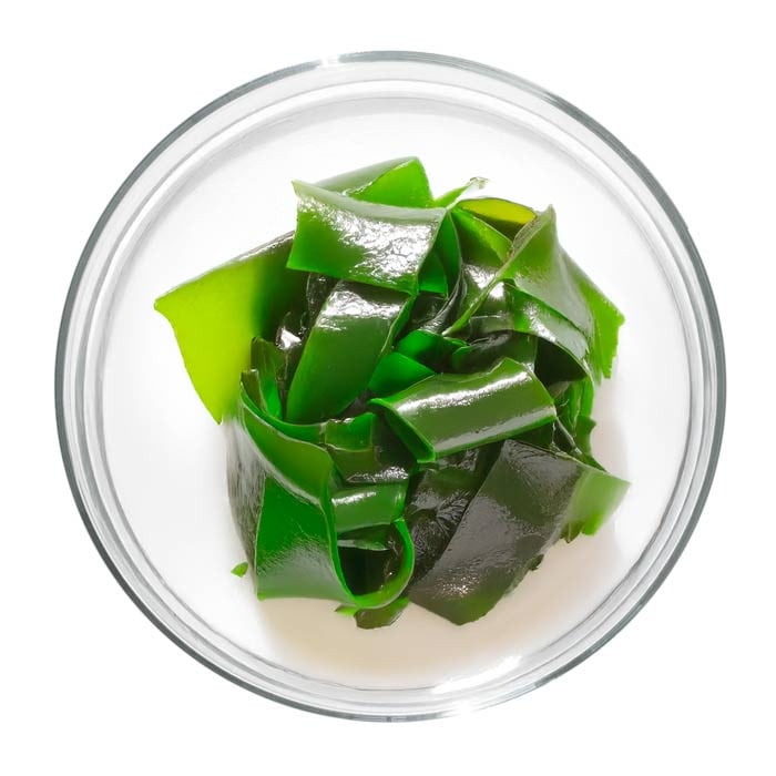 Algue kelp
