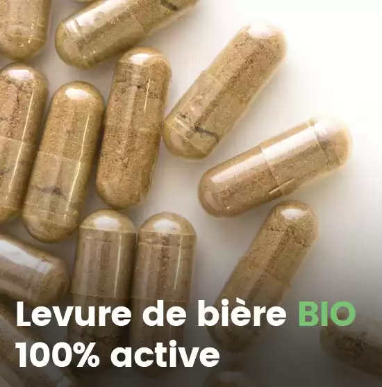 Levure de bière Vivante Bio 1000mg - 120 gélules végétales