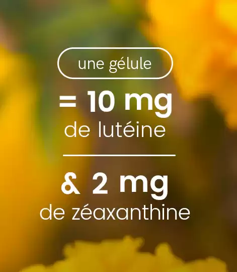 lutéine zéaxanthine gélules