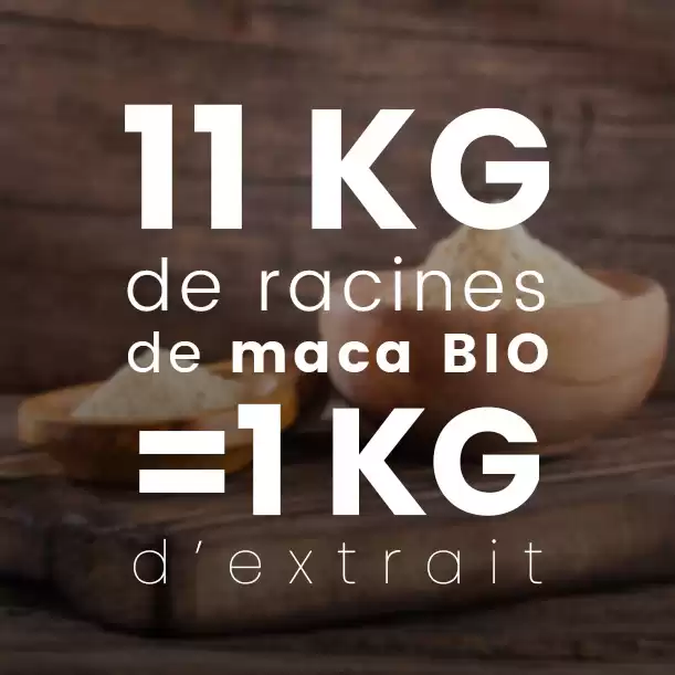 Maca concentrée