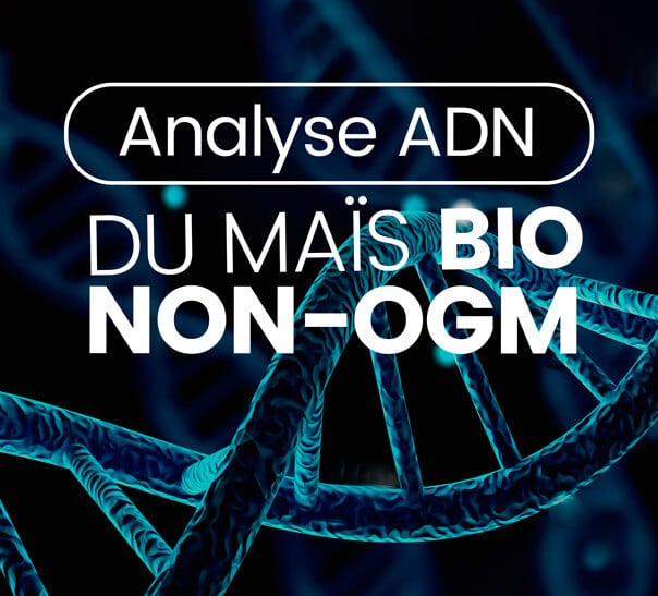 Maltodextrine de mais bio