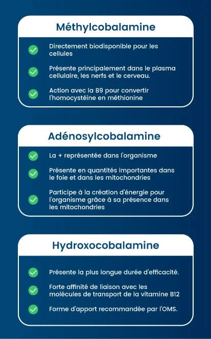 carence vitamine b12