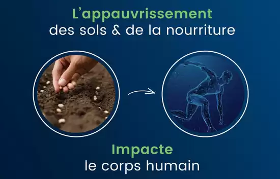 MSM source naturelle