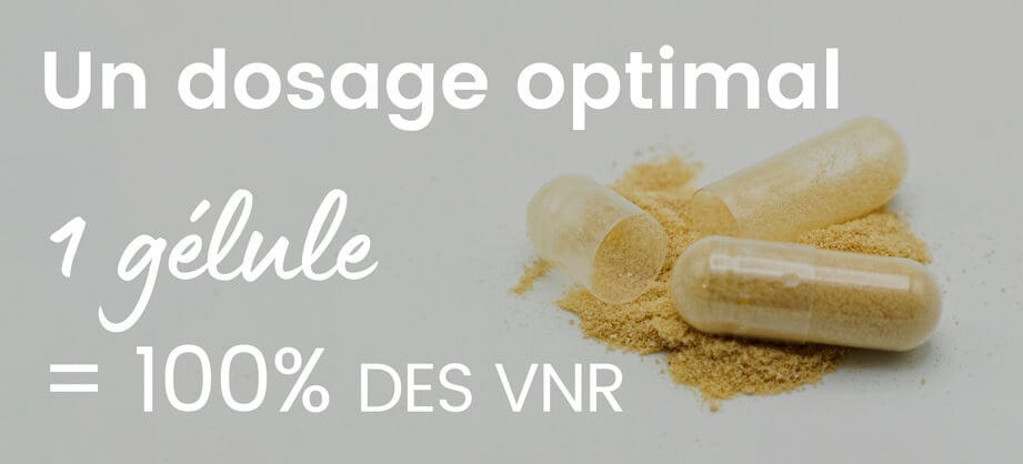 Vitamine B dosage