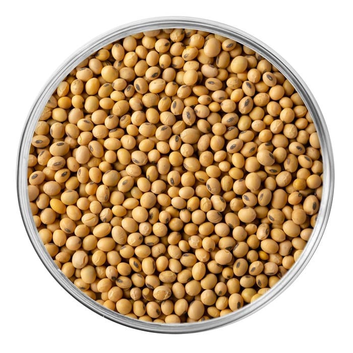 soja fermenté Natto