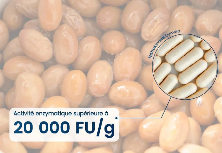 nattokinase activite enzymatique