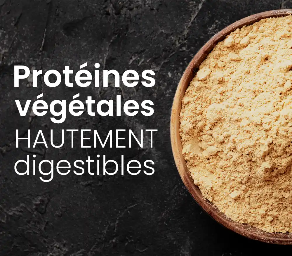 Protéines végétales