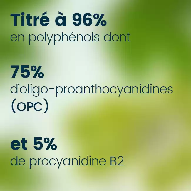 Extrait de pépins de raisin 75% opc