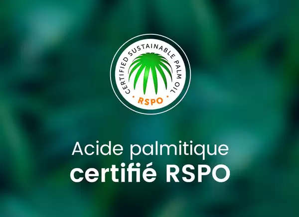 Certification RSPO