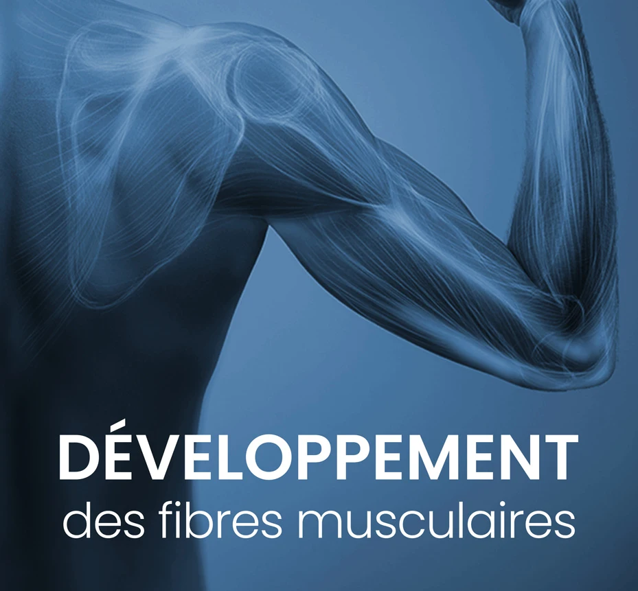 Synergie des actifs