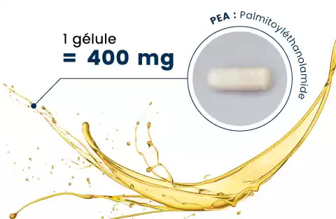 Palmitoyléthanolamide gélules
