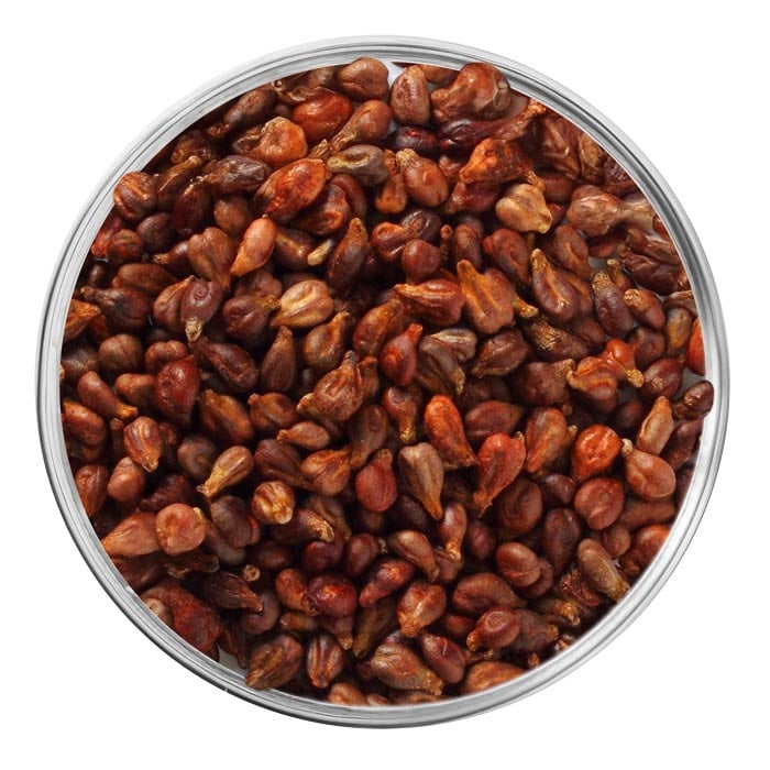 Extrait de pépins de raisin