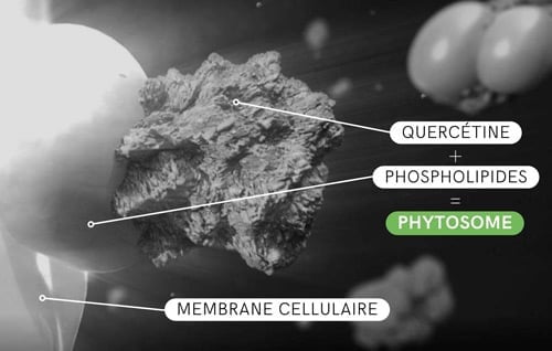 Dosage quercetine
