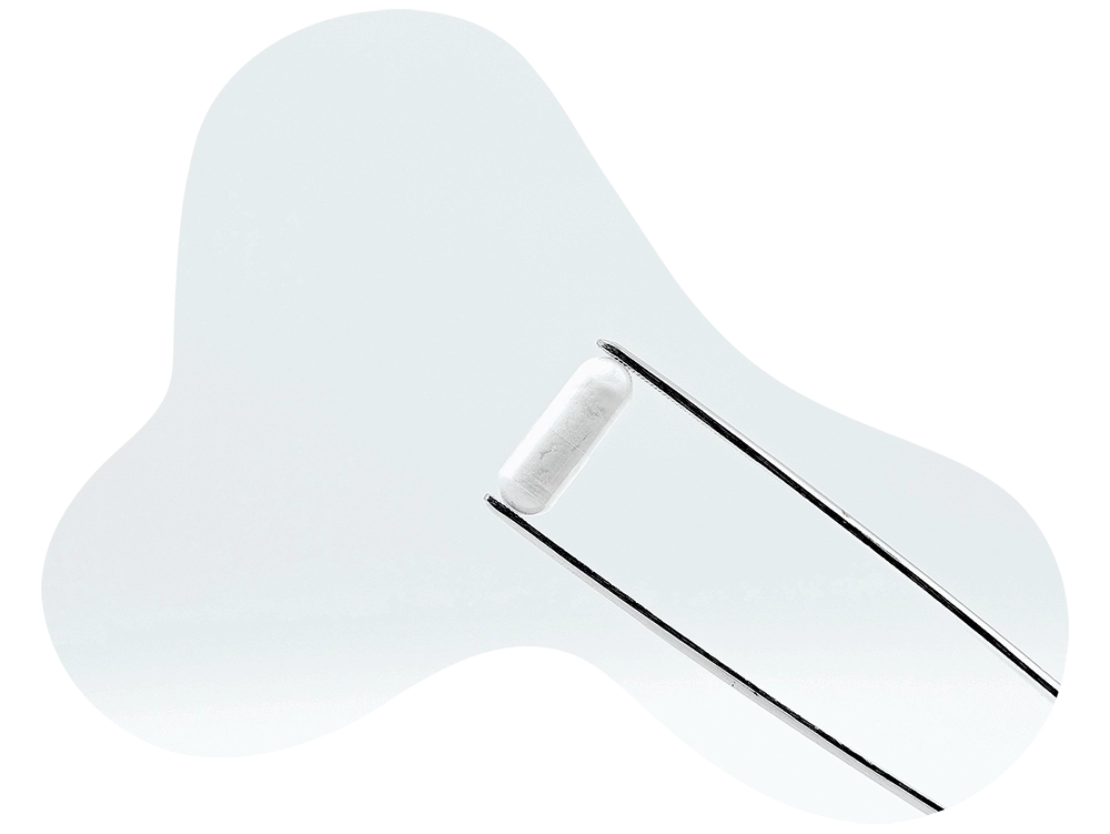Glutamine gélules