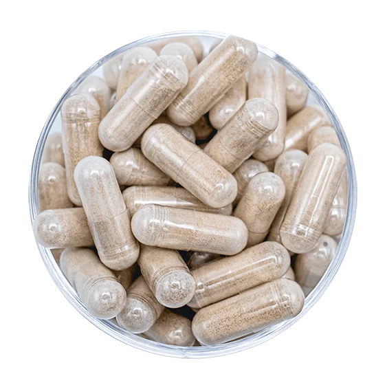 postbiotiques gélule