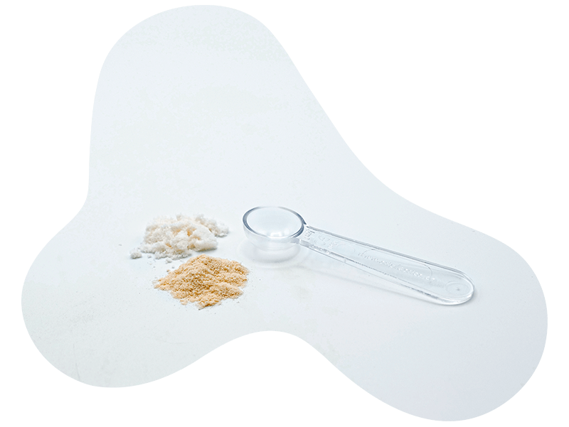Poudre arômes naturel