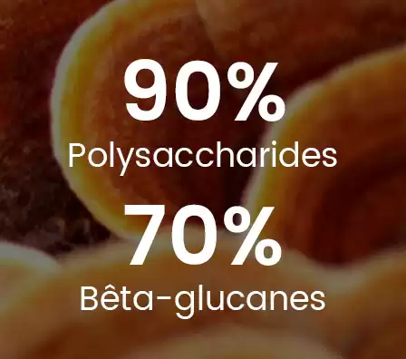 Reishi 90% polysaccharides 70% bêta-glucanes