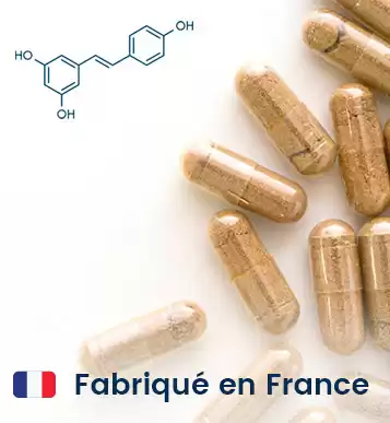 Resvératrol gélules