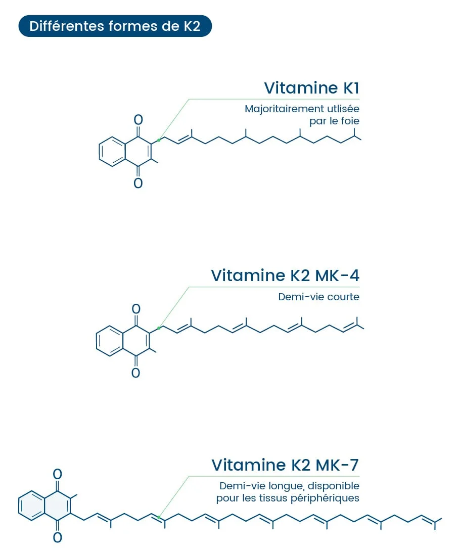 Formes vitamine K
