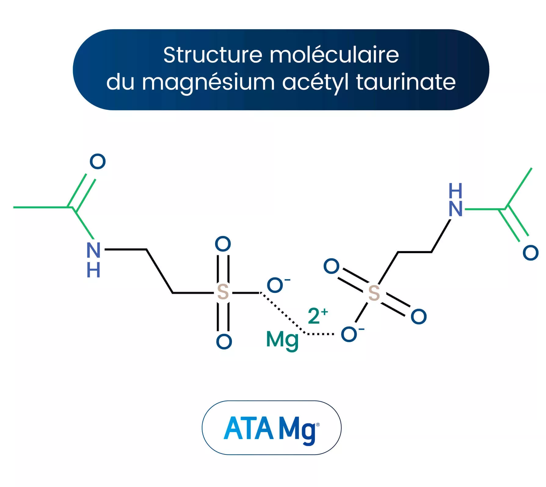 Schéma structure moléculaire Ata Mg