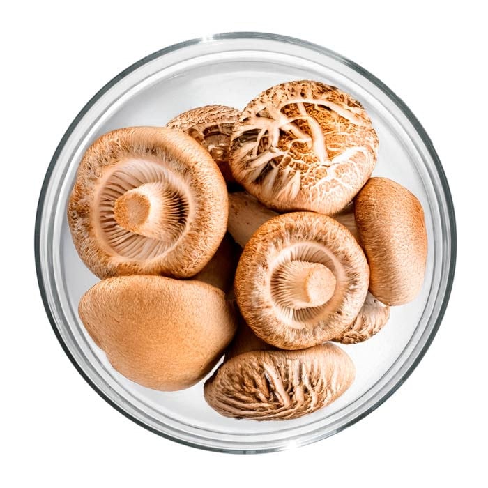 Champignon shiitaké