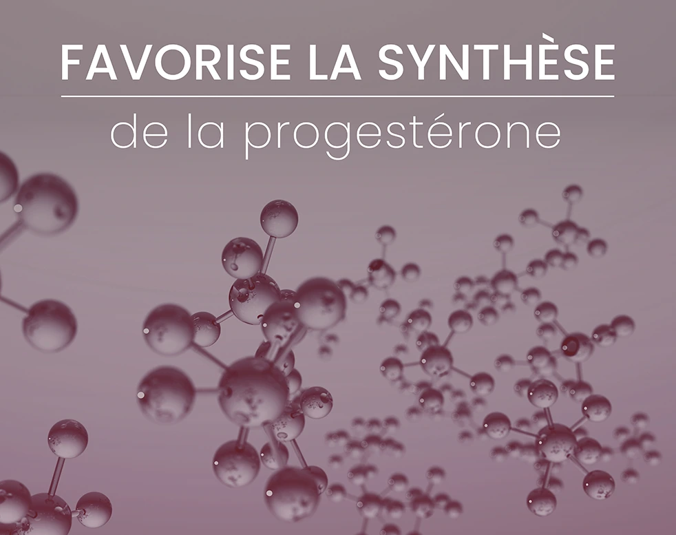 SPM synthèse progestérone