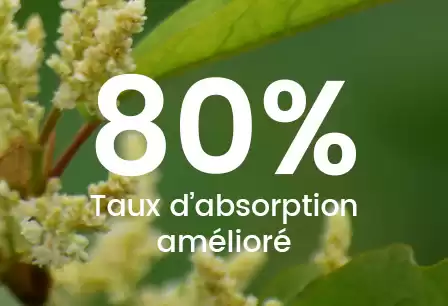 Meilleur resvératrol