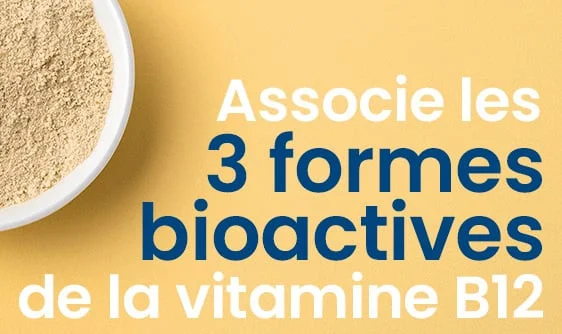 vitamine b12 forme bioactive