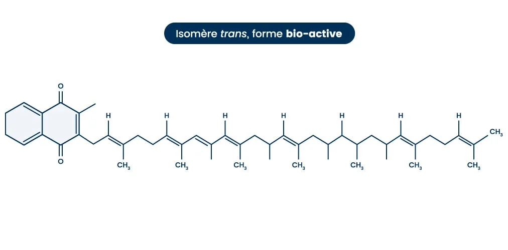 Molécule vitamine k2 mk7