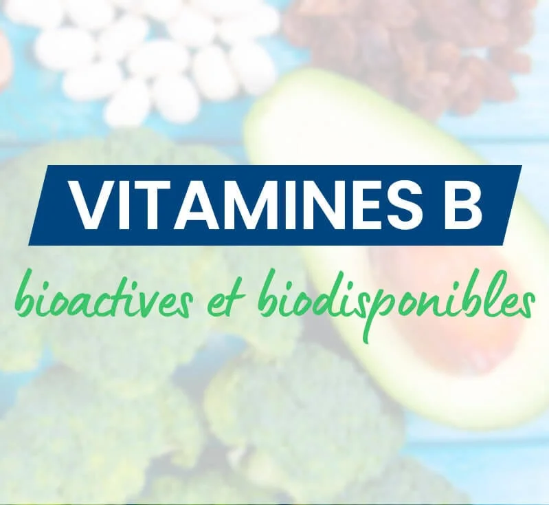 vitamines B bioactives et biodisponibles