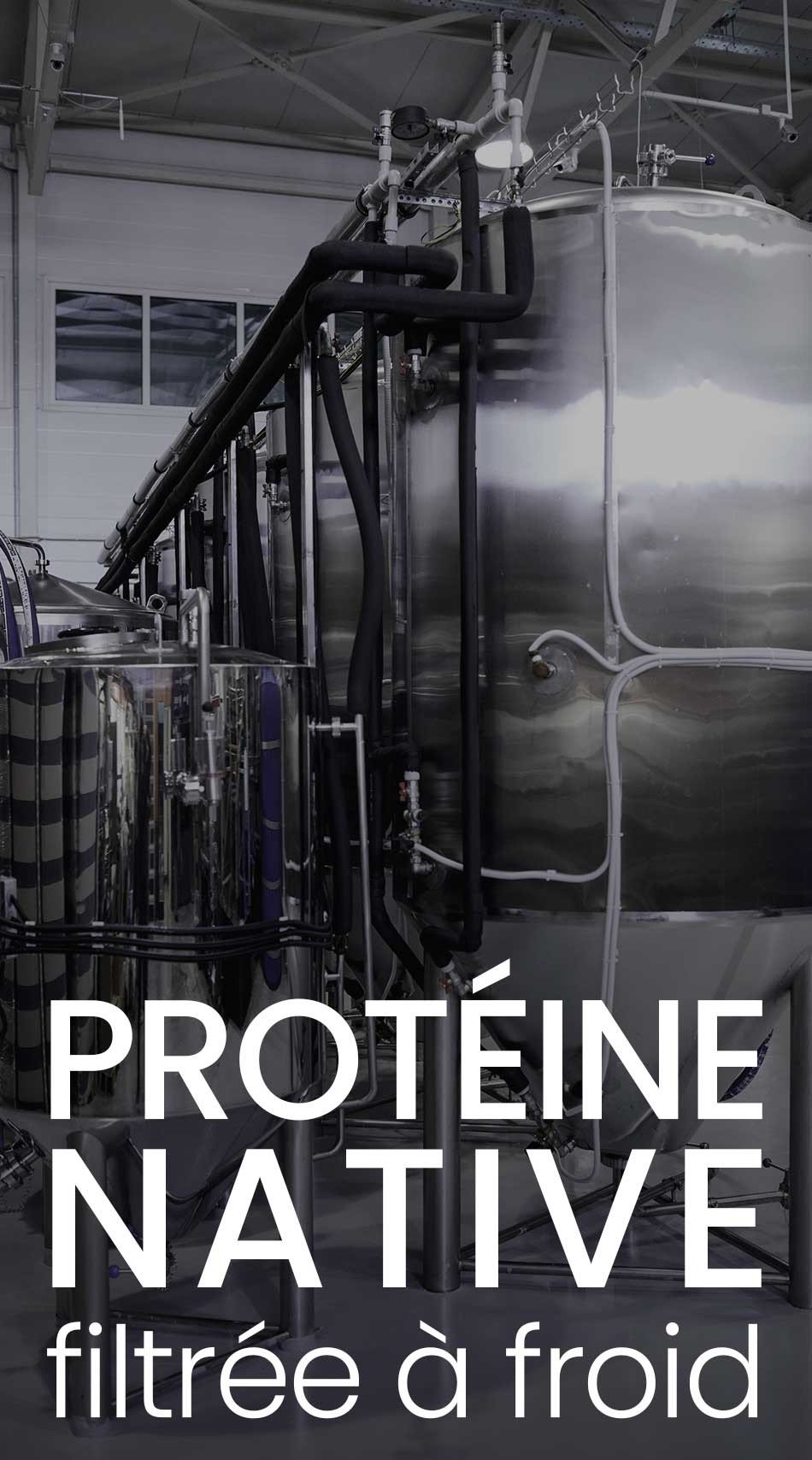 Whey proteine 